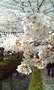 tetsugaku-no-michi2008.jpg